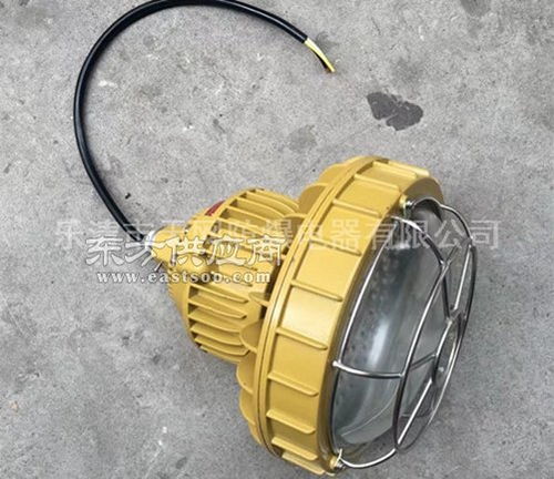 220wled防爆燈 固態(tài)免維護(hù)防爆led燈 廠家圖片