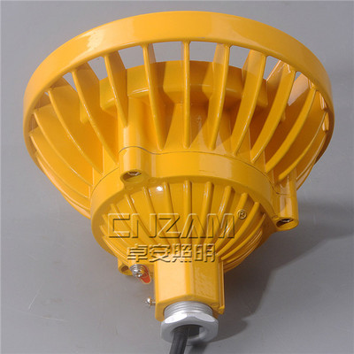 ZBD101 30wled防爆投光燈,防爆led泛光燈40w,50W吊桿式防爆燈__防爆電器_防爆電器_防爆燈__中國安防展覽網(wǎng)
